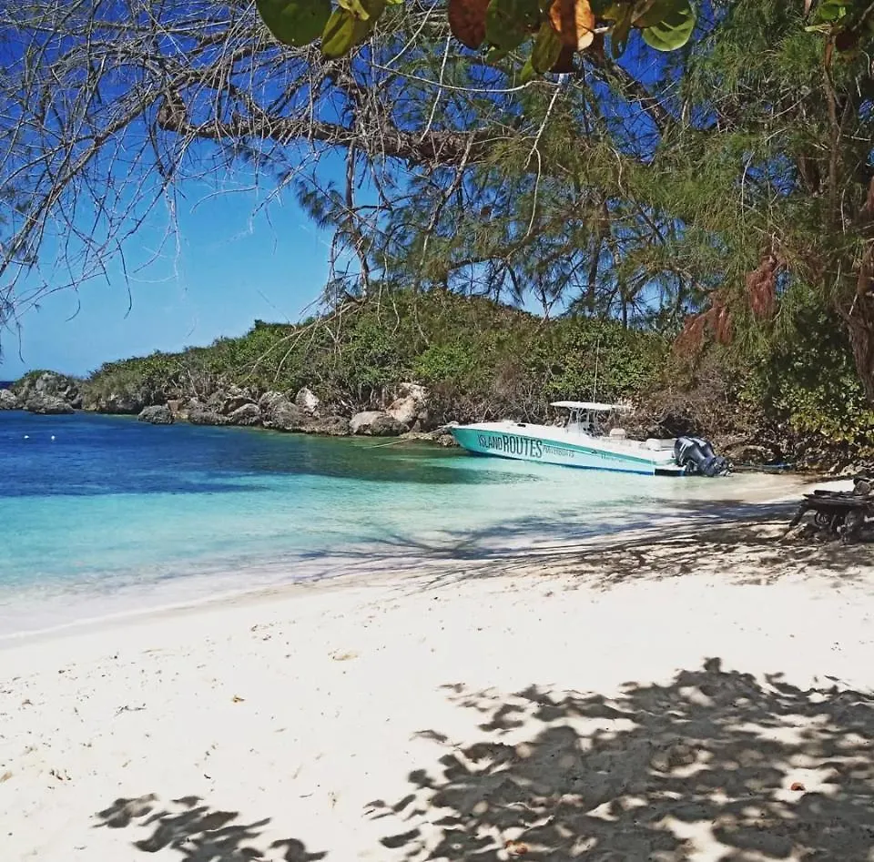 Spare Rooms, Ocho Rios, St Mary 0*, Steer Town ジャマイカ