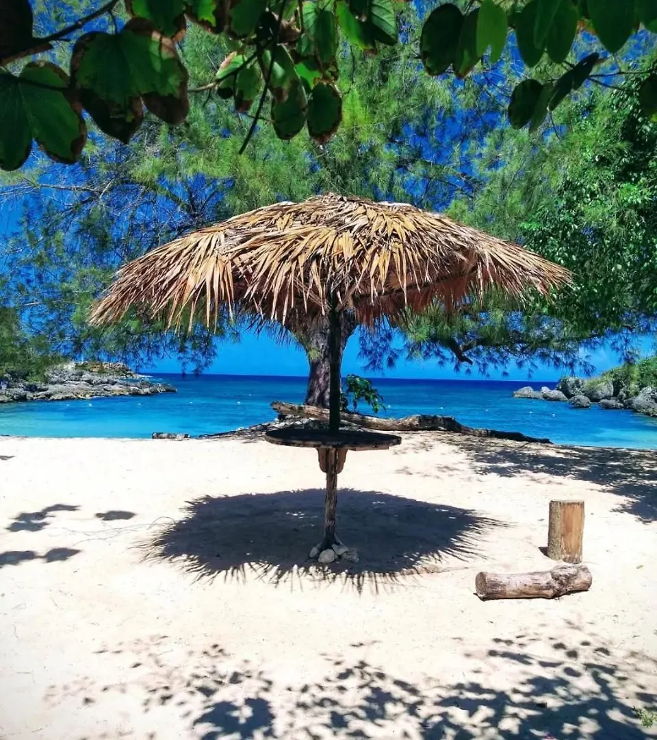 Spare Rooms, Ocho Rios, St Mary 別荘 Steer Town